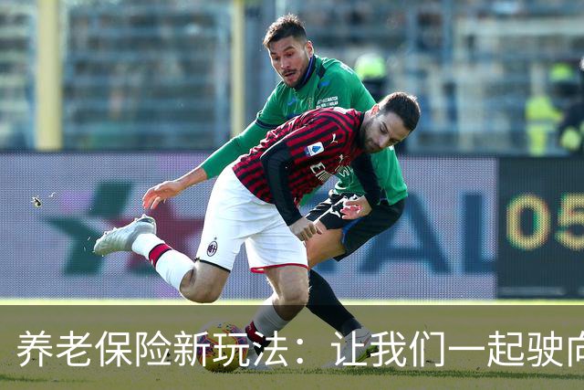 养老保险新玩法：让我们一起驶向公平的未来！