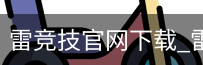 雷竞技官网下载